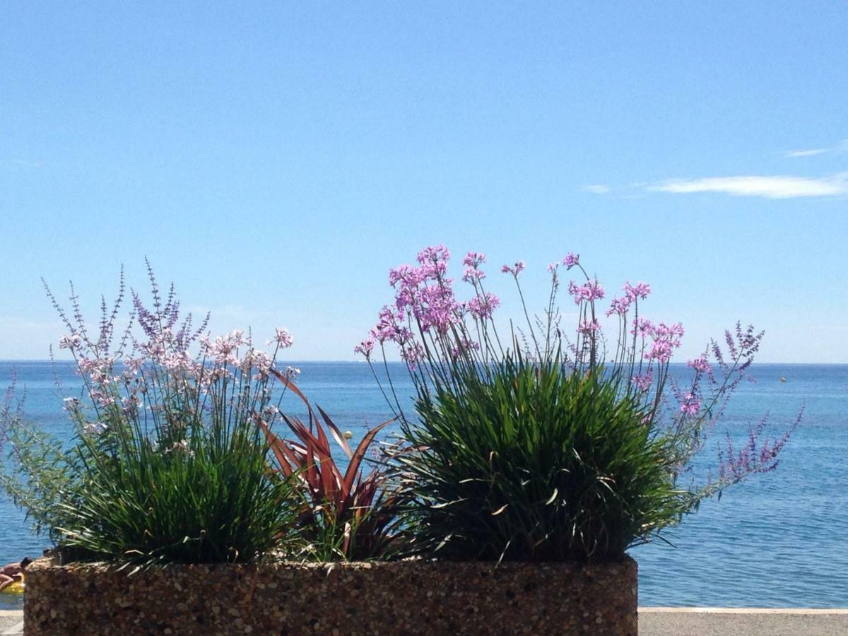 Les Caroubiers Apartment Roquebrune-Cap-Martin Exterior photo